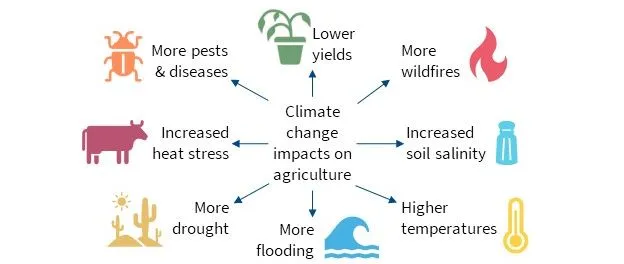 climate change impacts on agriculture