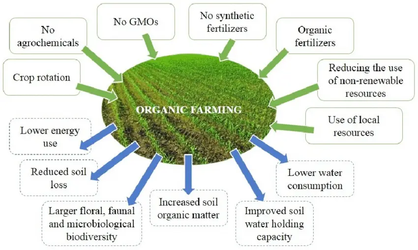 Advantages of organic farming 
