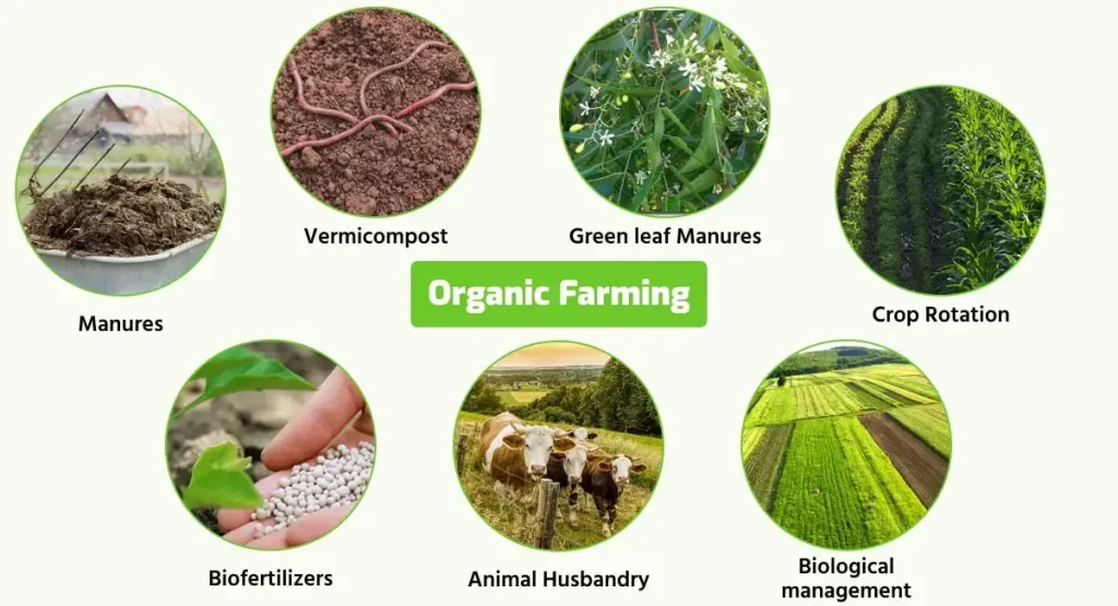 Characteristics of Organic farming