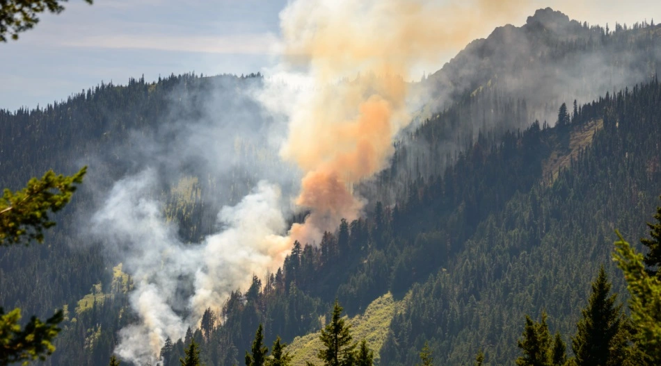 forest fires due to bonfires