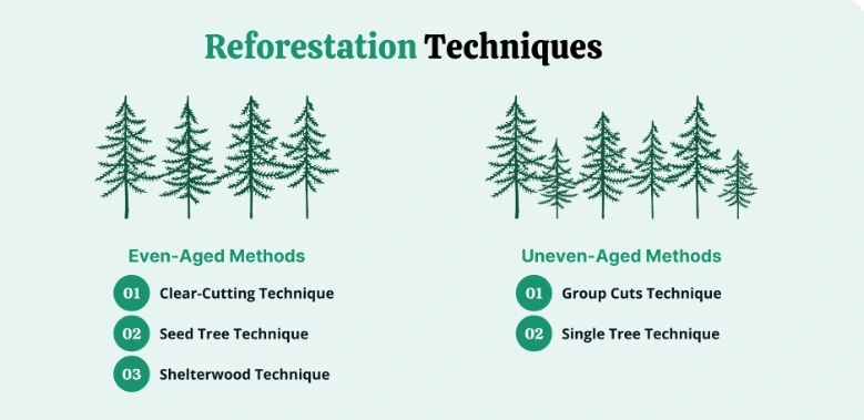 different reforestation techniques