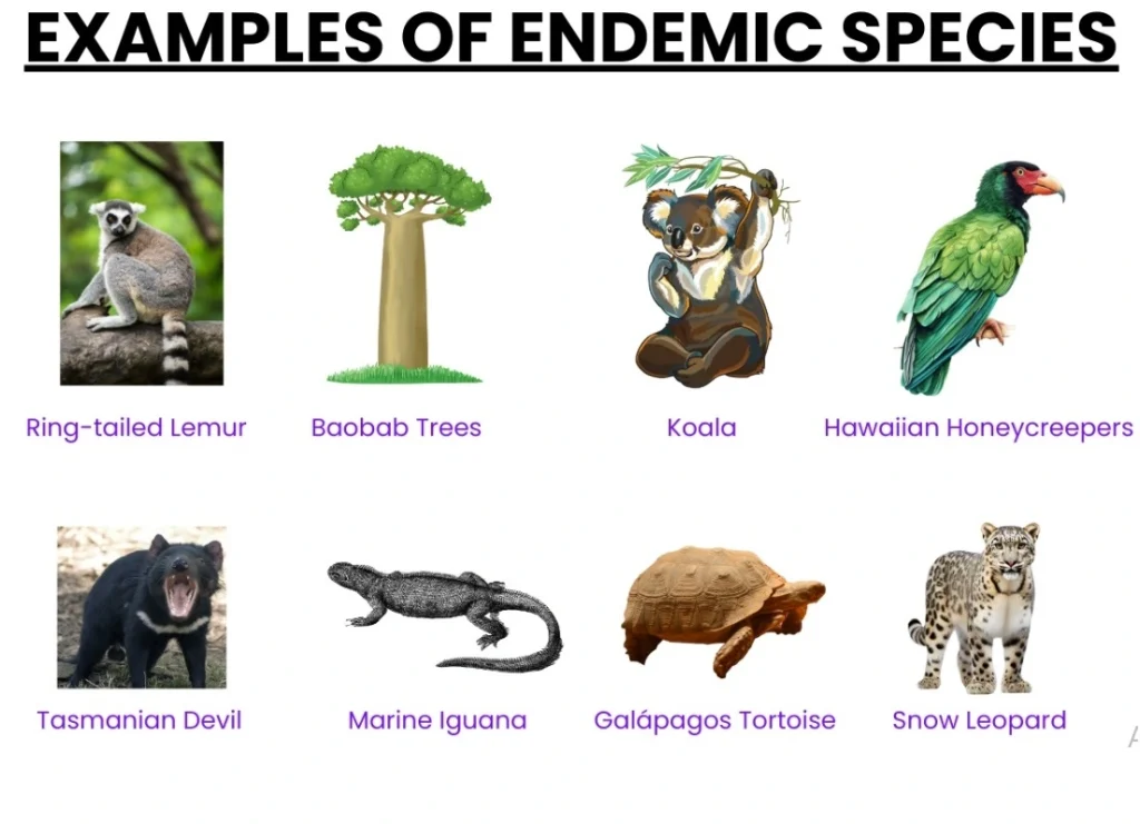Endemic species